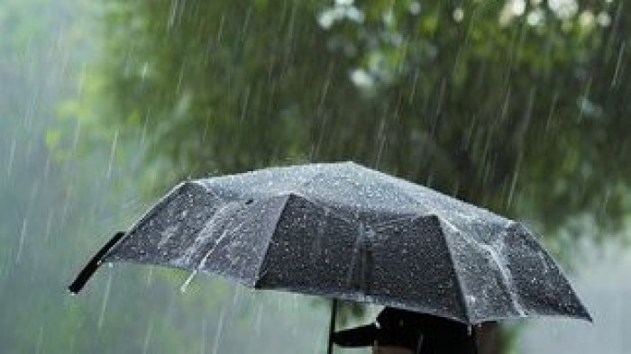 Chubascos vs. Lluvias: Descubre por qué estas precipitaciones no son sinónimos