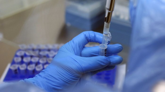 Contigo En Directo | Capítulo 243