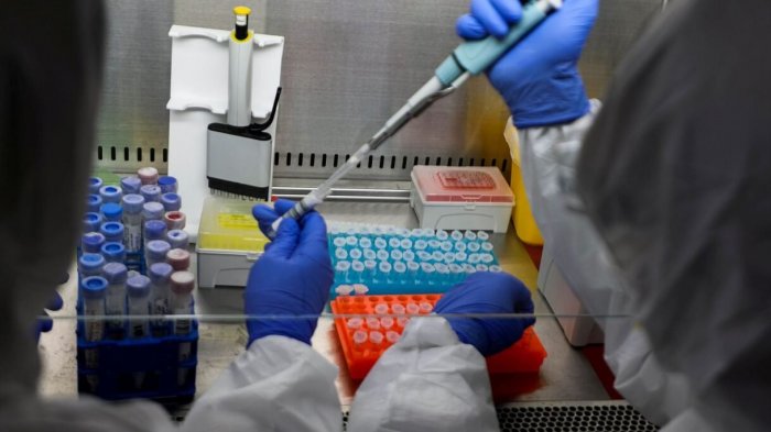 Contigo En Directo | Capítulo 245