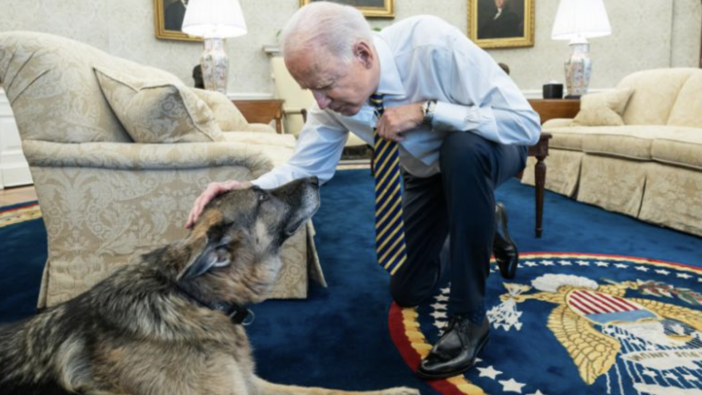 Biden confirmó la muerte de Champ, el perro que lo acompañó por 13 años