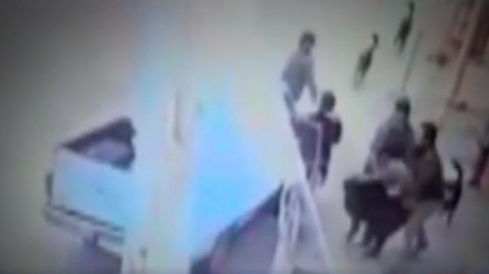 Ex PDI sobre intentos de secuestro en Valparaíso: “Podríamos estar en presencia de uno o más depredadores sexuales”