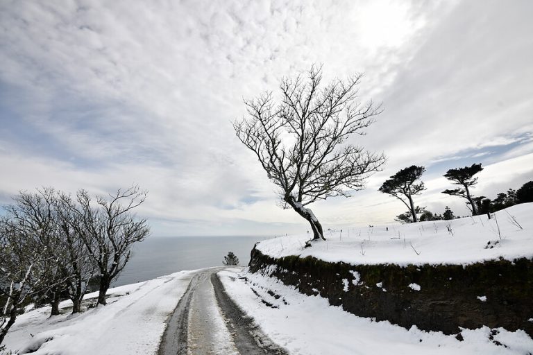 Nieve, lluvias y vientos: Decretan Alerta Temprana Preventiva para la Patagonia