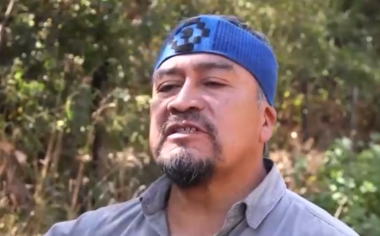 Conflicto territorial: CAM declaró la guerra a las forestales por la liberación nacional Mapuche