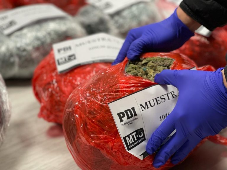 Detectives del MT-0 de la PDI incautaron más de 70 mil dosis de marihuana en La Reina y La Florida