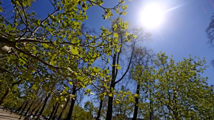 ¡Día de primavera en pleno invierno! Hoy se esperan máximas de 26 grados en Santiago