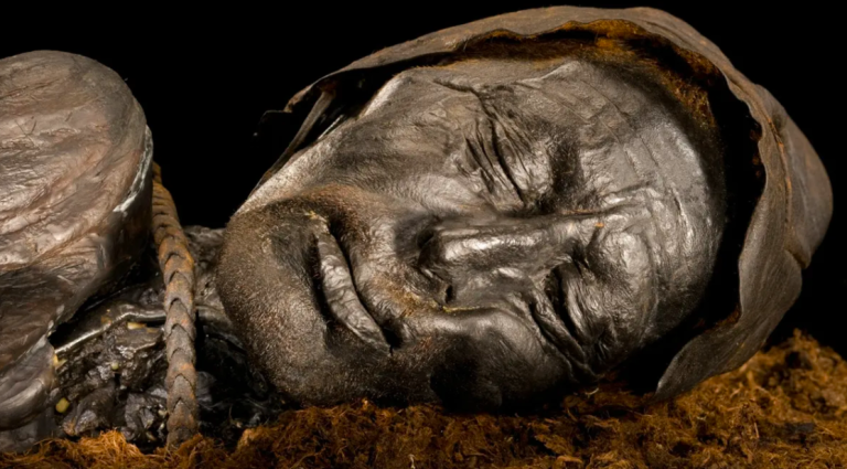 La momia más famosa de Dinamarca: Revelan qué comió el hombre de Tollund antes de morir