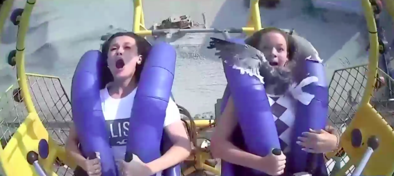 Pájaro se estrelló contra niña en pleno juego de un parque de diversiones