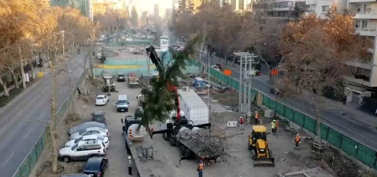 Tras dos años en viveros: 500 árboles retornan al Parque Vespucio
