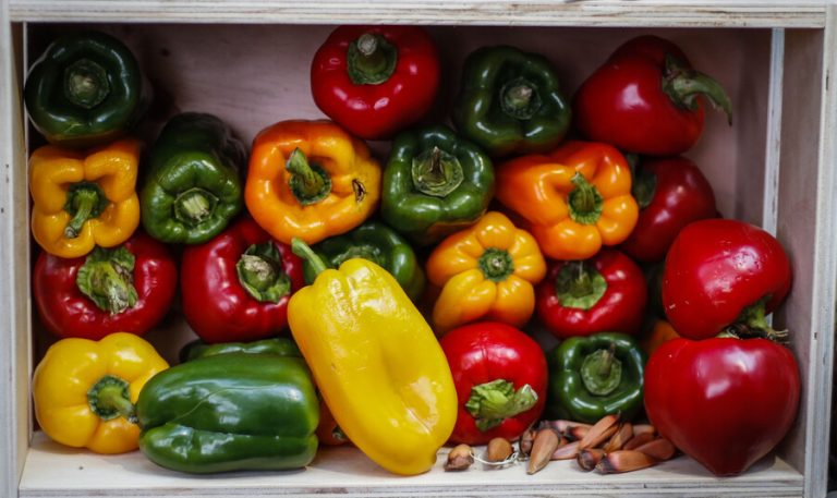 Good Meal: La app chilena que permite comprar alimentos por vencer con hasta un 70% de descuento