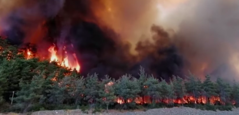 Al menos 4 muertos a causa de los incendios forestales en Turquía