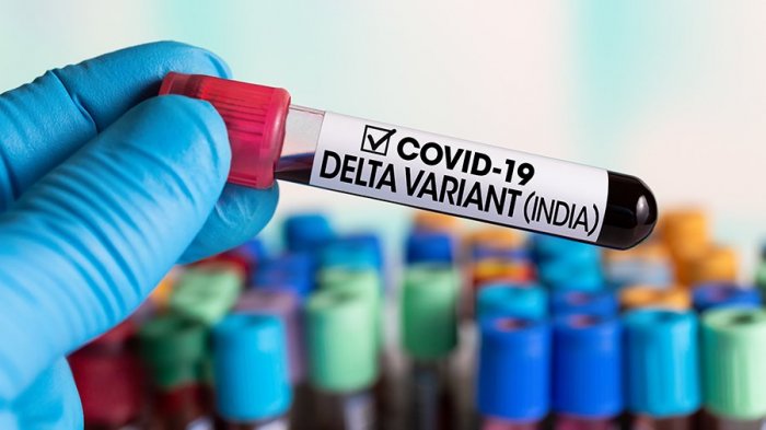 Gobierno cursa sumario sanitario por variante Delta en San Felipe por incumplimiento de cuarentena preventiva