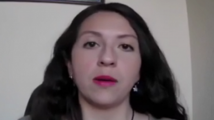 Gael Yeomans tras renuncia de Francisco Encina: “Es importante realizar una investigación y encontrar responsabilidades políticas”