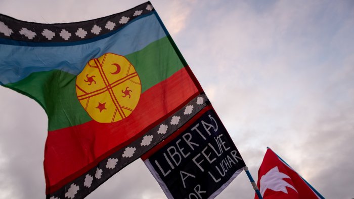 Contigo En Directo | Capítulo 257