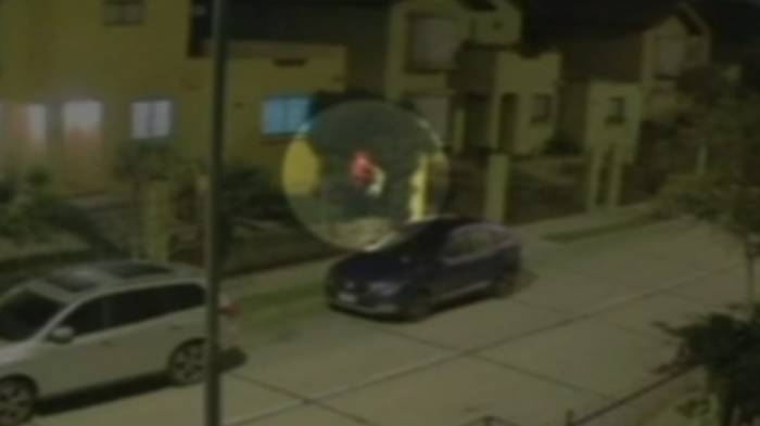 Cámara de seguridad captó a delincuente robando un perro y lanzándolo por sobre la reja