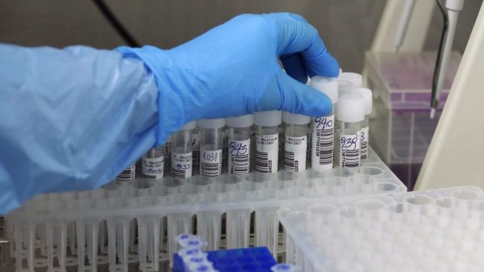 Ministerio de Salud informó que los contagios bajaron de los 1.000 durante las últimas 24 horas