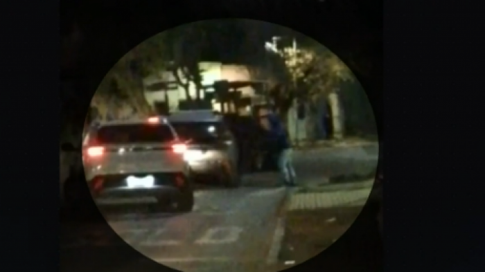 Madre e hijas de 6 y 12 años sufrieron violenta encerrona en Quinta Normal