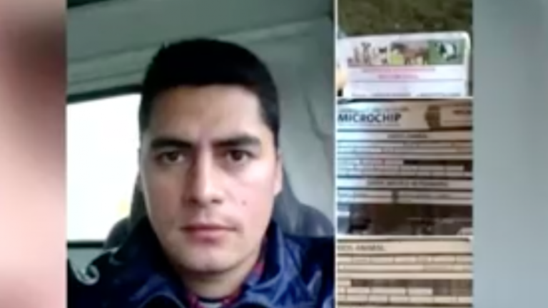 Dio recetas y realizó cirugías: Falso veterinario denominado 