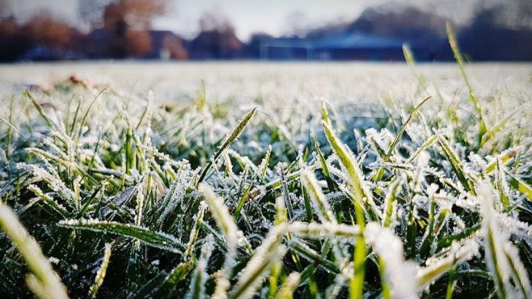 ¿Por qué se forma la escarcha? Confirman el regreso de las heladas a los valles