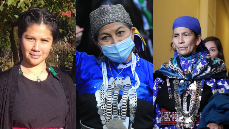 Constituyentes de pueblos originarios: 