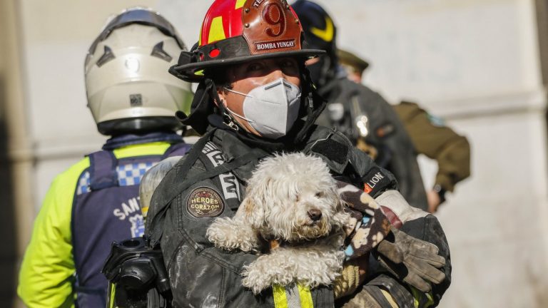 Cadem: Bomberos es percibida como la institución más confiable de Chile con un 98% de aprobación