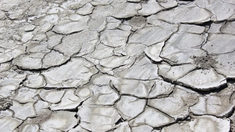 Sobregiro ecológico 2021: ¡Ya devoramos los elementos naturales que nos debían alcanzar hasta fin de año!