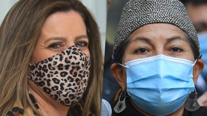 Tenso momento entre Teresa Marinovic y Elisa Loncón: Le pidió a la presidenta de la mesa no dar opiniones políticas