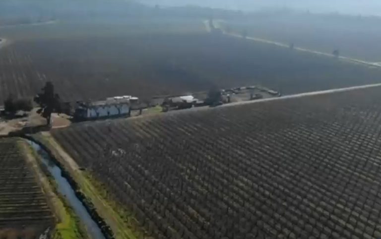 La desigual pelea entre pequeños y grandes empresarios: Los subsidios entregados por la CNR