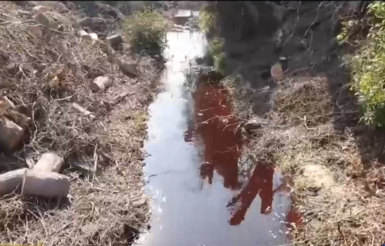 Vecinos de Lonquén denuncian contaminación del ducto Santa Marta: Aseguran que animales han muerto por beber agua