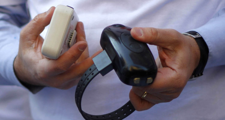 De forma unánime: Senado aprobó uso de tobilleras electrónicas para formalizados por violencia intrafamiliar