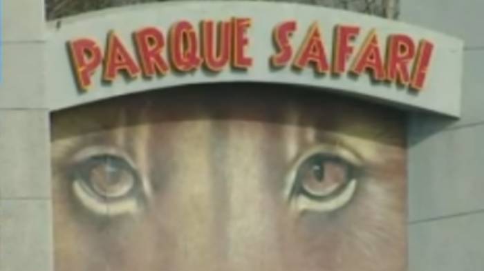 Contigo en Directo | Capítulo 275