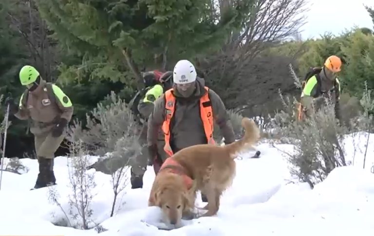 Crece el misterio por mujer desaparecida hace casi un mes en Magallanes