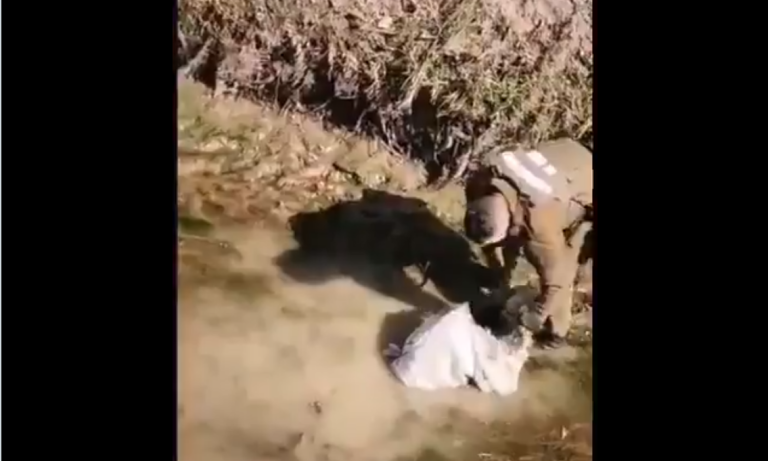 Perro fue arrojado dentro de un saco a un canal de regadío: Así fue su rescate