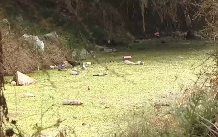 Vecinos denuncian que el humedal de Batuco se está convirtiendo en un basural