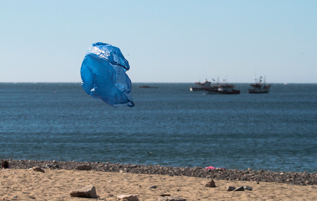 Soledad Acuña de Greenpeace: “En Chile, el 83% del plástico es generado por las grandes empresas”