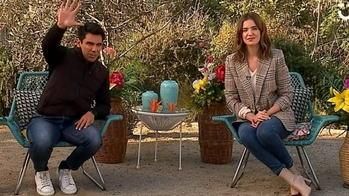 Sabingo | Capítulo 1 de agosto