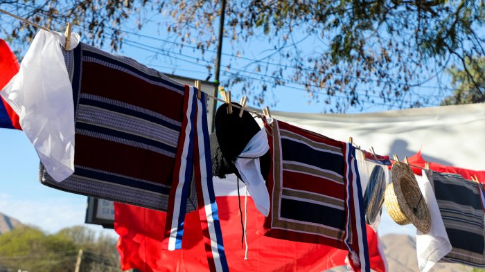 Se analiza el plan entregado por el Gobierno: ¿Se abrirán las fondas para Fiestas Patrias?