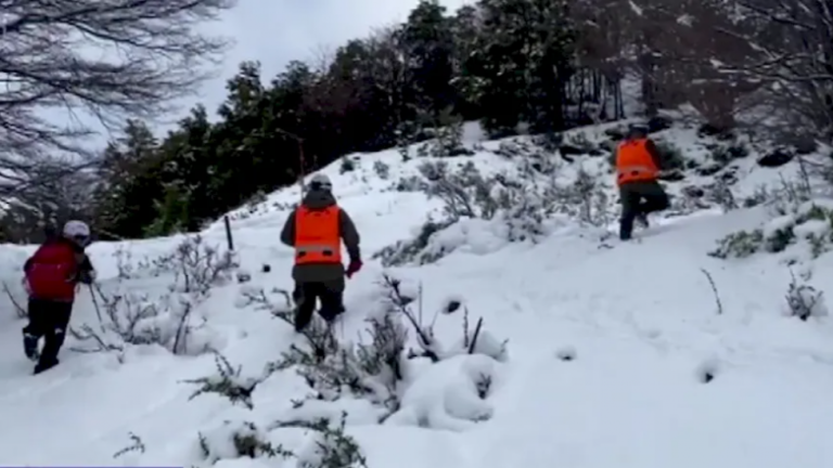 Contigo en Directo | Capítulo 274
