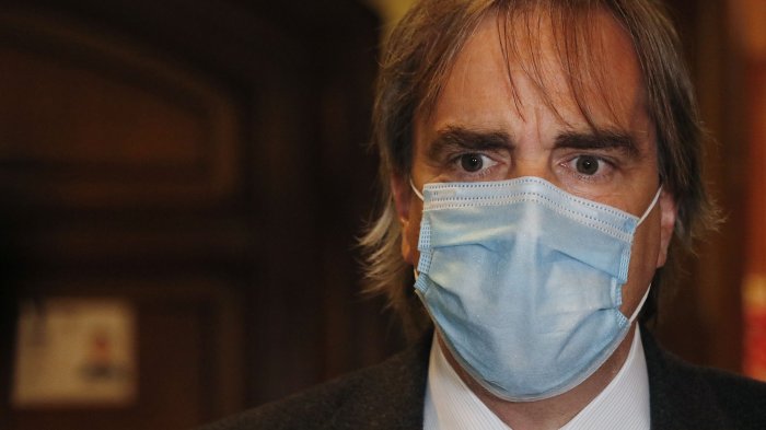 Escándalo por fondos a “elite cultural” en pandemia: Galería de suegra de diputado Cruz Coke fue beneficiada