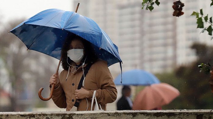 Contigo En Directo | Capítulo 282