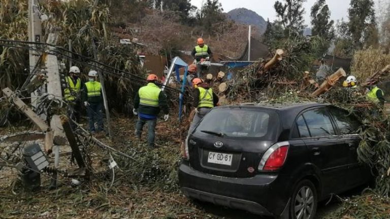 Árbol de gran envergadura cayó sobre dos vehículos y provocó corte de luz en Las Condes