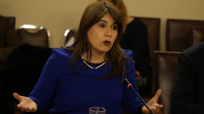 Formalizarán a exministra Javiera Blanco: La acusan por malversación de fondos públicos de Carabineros