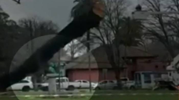 Insólito video: Fallida tala de árbol terminó con monumento de Simón Bolívar completamente destruido