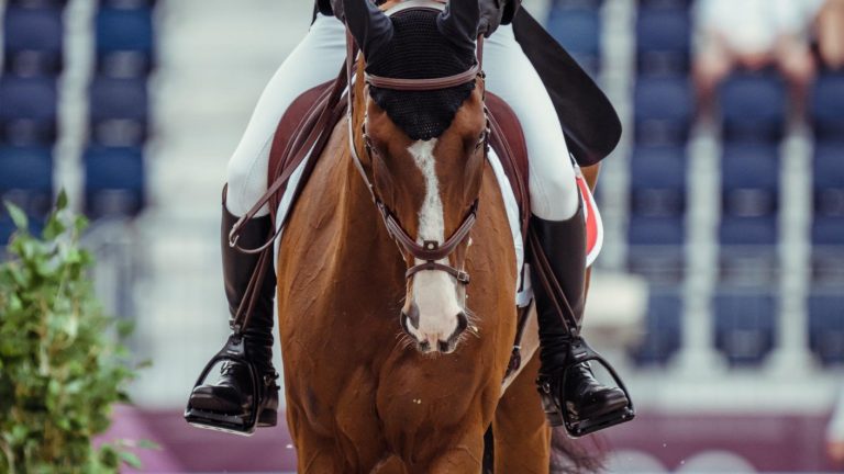 Caballo del equipo suizo de equitación debió ser sacrificado tras quedar cojo en Tokio 2020