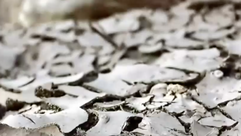 Sin lluvia ni nieve: Este 2021 se vivió el julio más cálido del que se tenga registro