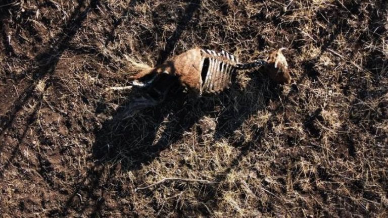 Hipersequía 2021: “Lo que ahora consideramos muy seco será la normalidad en el futuro”