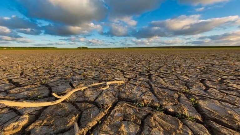 Científicos de todo el mundo “golpearon la mesa“ para encender las alarmas: “Código rojo para la humanidad“