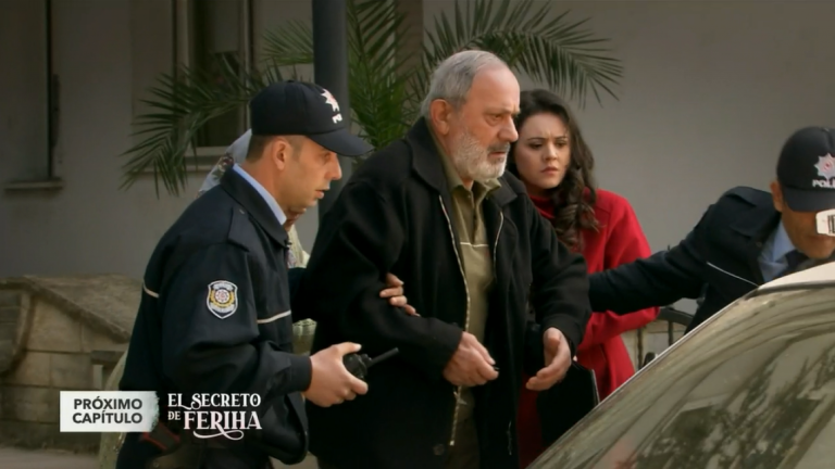 Próximo capítulo : ¿Riza tras las rejas?