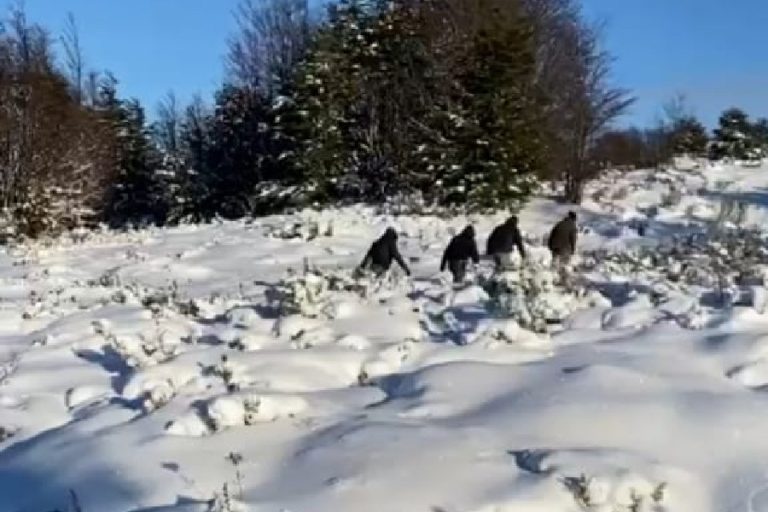 Confirman hallazgo del cuerpo de mujer que estaba desaparecida hace 53 días en Magallanes