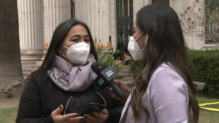 Constituyente Carolina Videla sobre Rojas Vade: “No sé si deba renunciar”