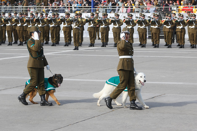 El 80% de la población está de acuerdo con suspender la Parada Militar 2021 según estudio de Data Influye